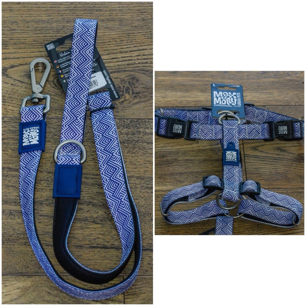 Max and Molly L Mykonos Blue Dog H-Harness and Leash Set